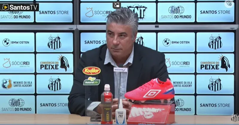 Alexandre Gallo, coordenador técnico do Santos | Foto: Reprodução