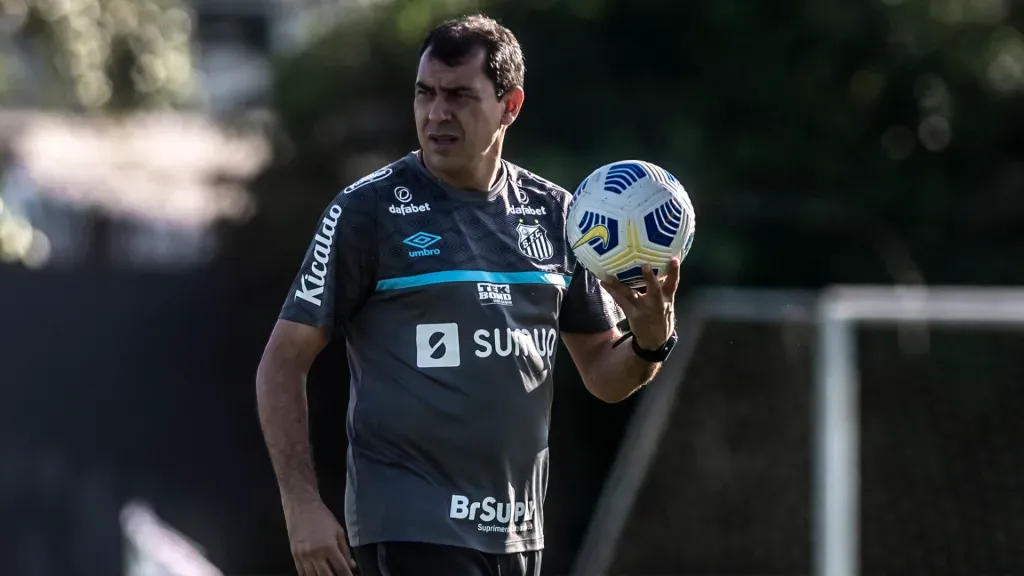 (Foto: Iavn Storti/Santos FC/Divulgação)