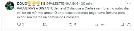 Torcedor do Palmeiras comenta sobre a proposta