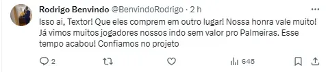 Torcedor do Botafogo concorda com John Textor