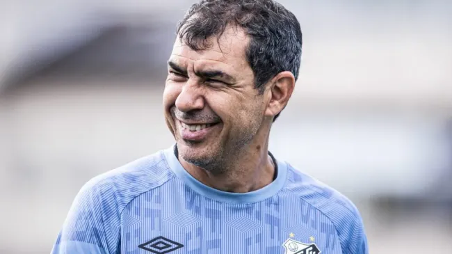 Fábio Carille está satisfeito com desempenho do Santos (Foto: Raul Baretta/ Santos FC/ Divulgação)