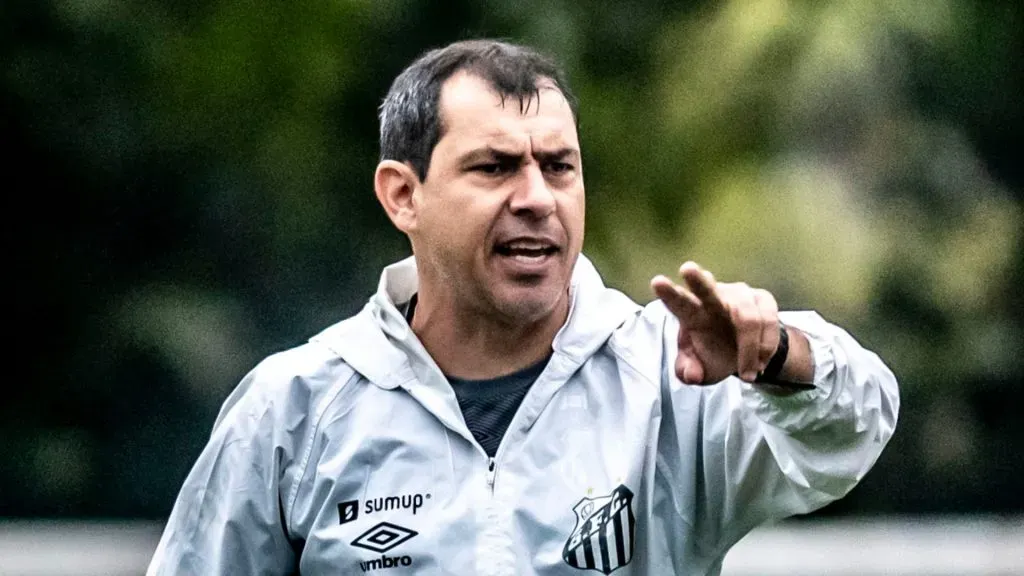 Carille adota paciência com jovens no Santos (Foto: Ivan Storti/Santos FC/Divulgação)