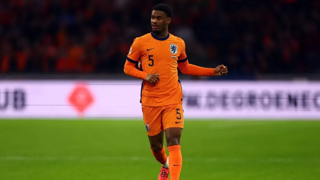 Hato em jogo da Seleção Holandesa. Foto: Dean Mouhtaropoulos/Getty Images