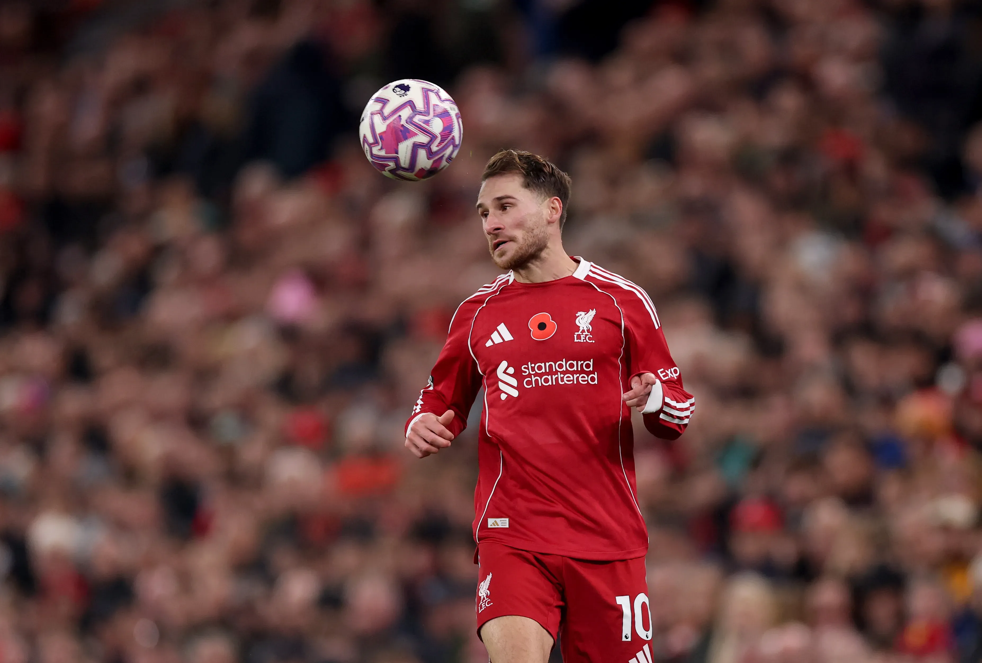 Mac Allister está feliz no Liverpool (Foto: Carl Recine/Getty Images)