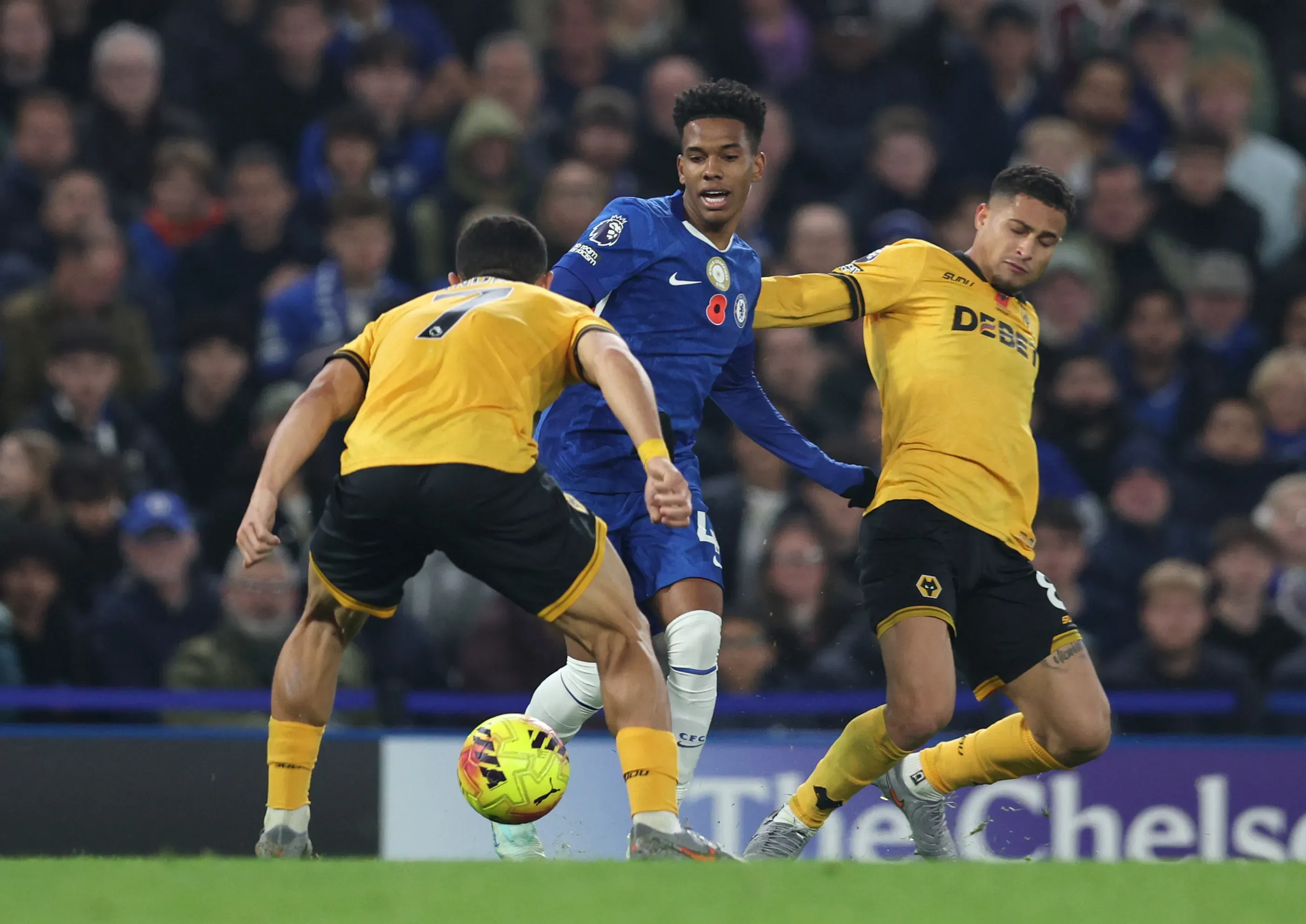 Estêvão em Chelsea X Wolverhampton. (Foto: Steve Bardens/Getty Images)