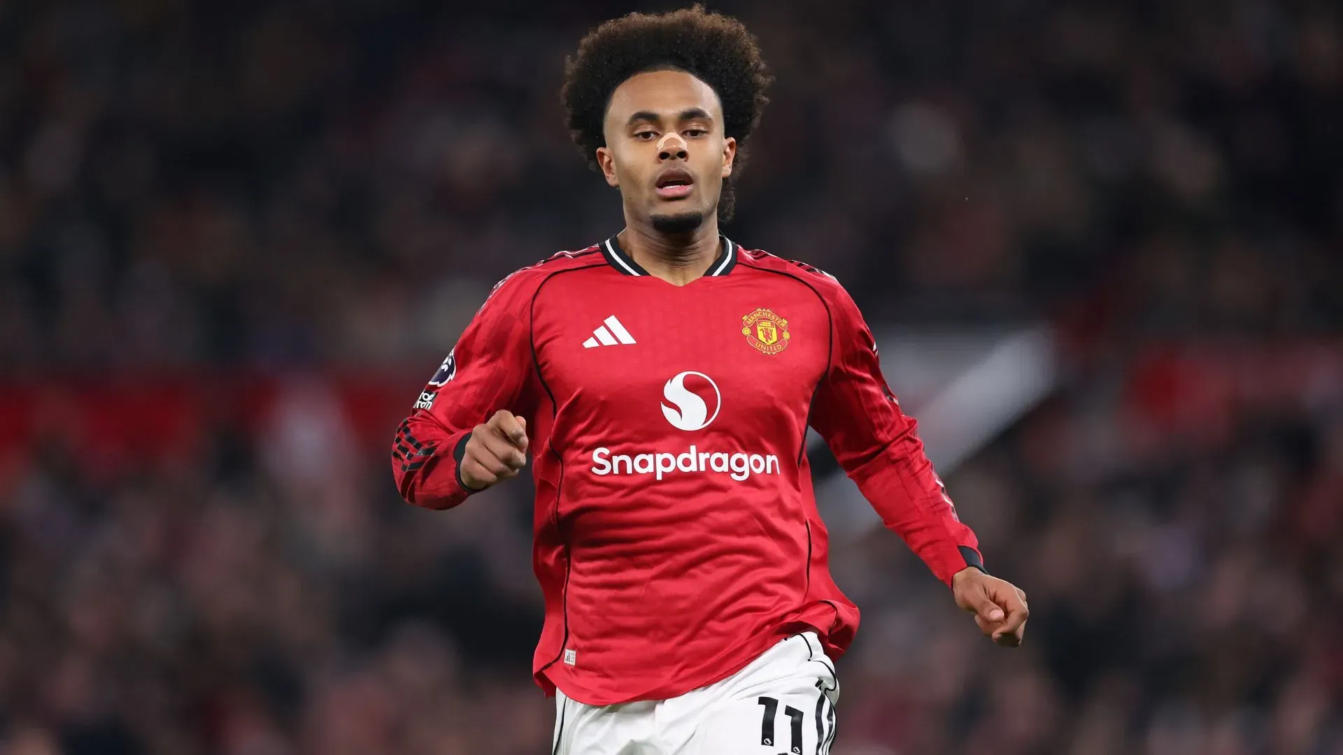 Zirkzee já viveu experiências no futebol da Itália (foto: Alex Livesey/Getty Images)