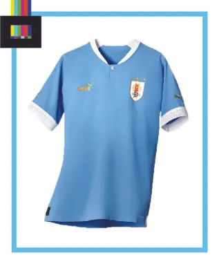 Uruguay Home Kit