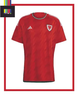Wales Home Kit