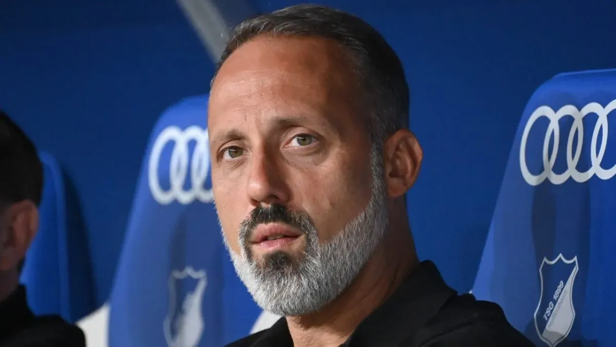 Pellegrino Matarazzo of Hoffenheim is putting together a strong 2023/24 season in the Bundesliga.