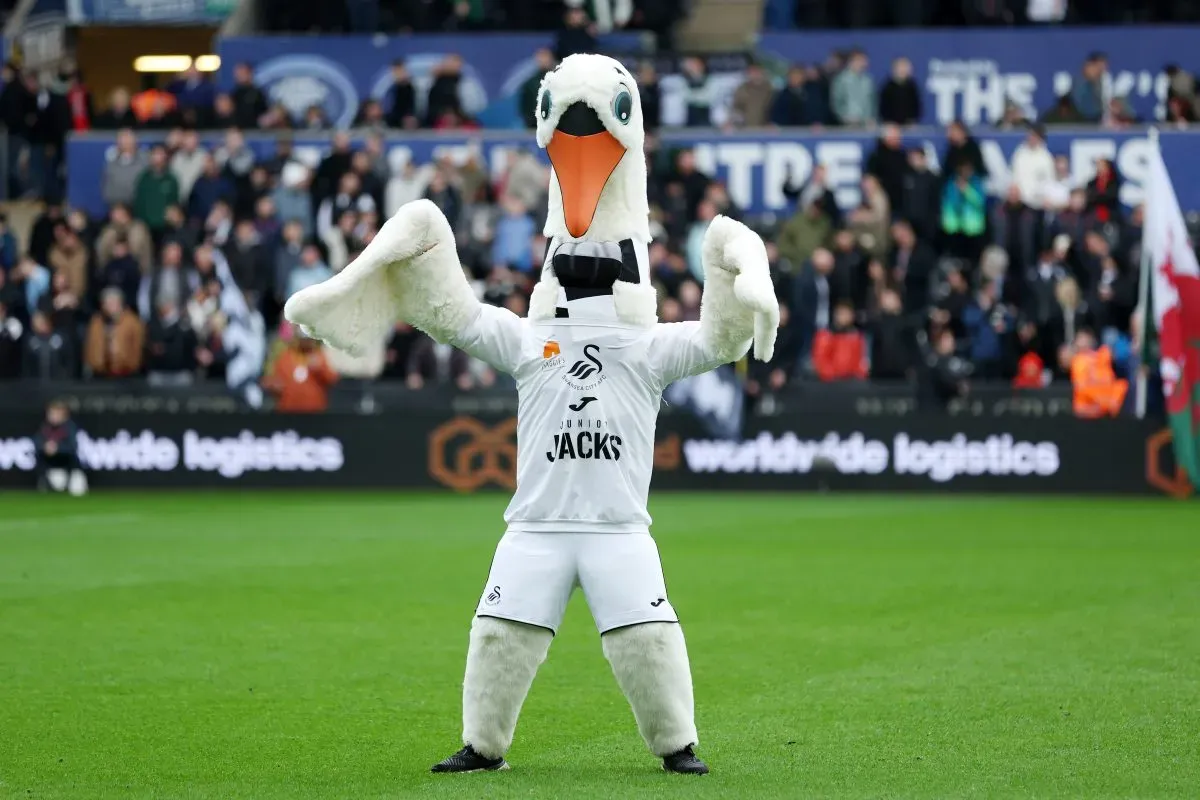 QPR mascot will now live in infamy alongside Cyril the Swan, who was involved in fights, riots and assaulting a referee back in the 1990s