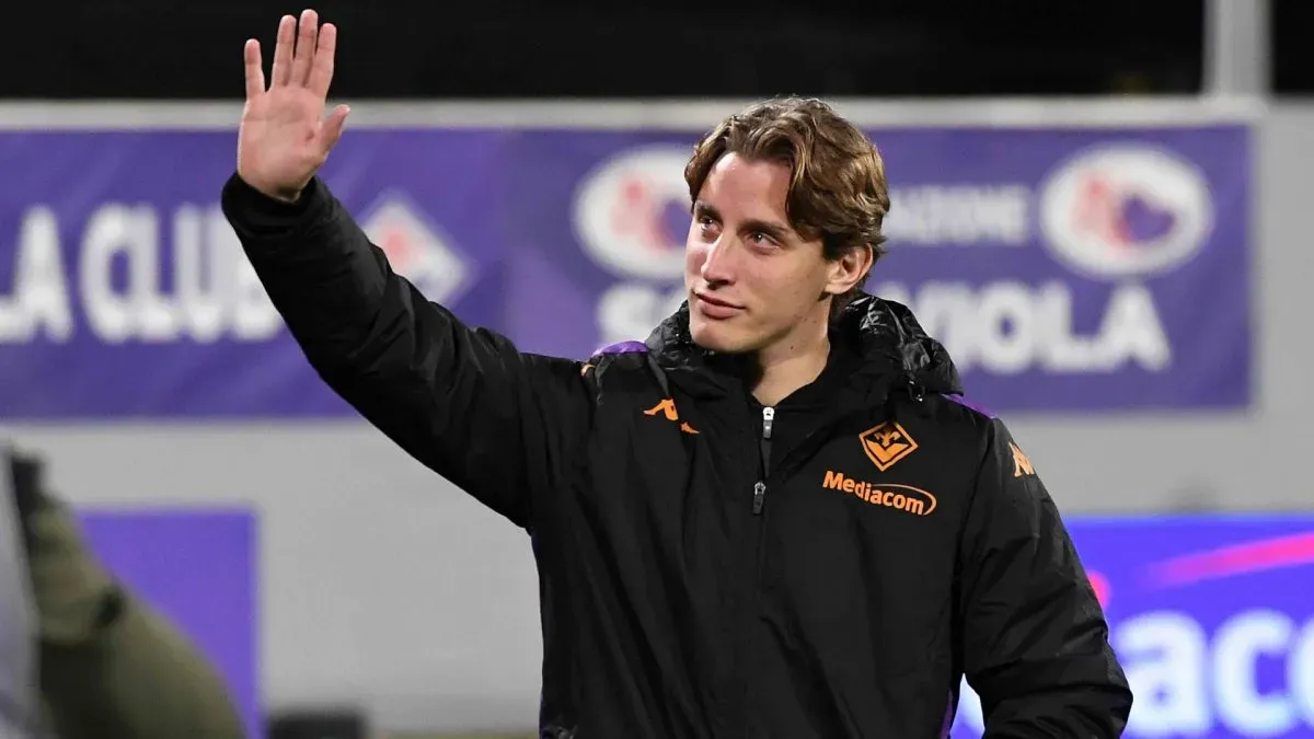 bove fiorentina bench